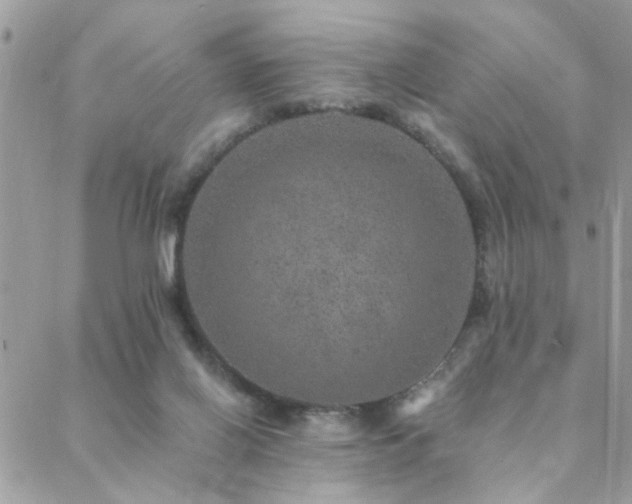 X0000088430070200705221258