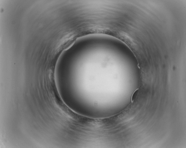 X0000088430071200705221258