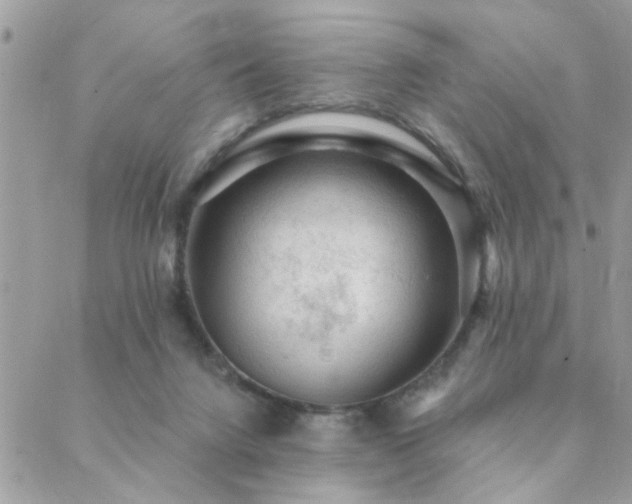 X0000088430072200705221258