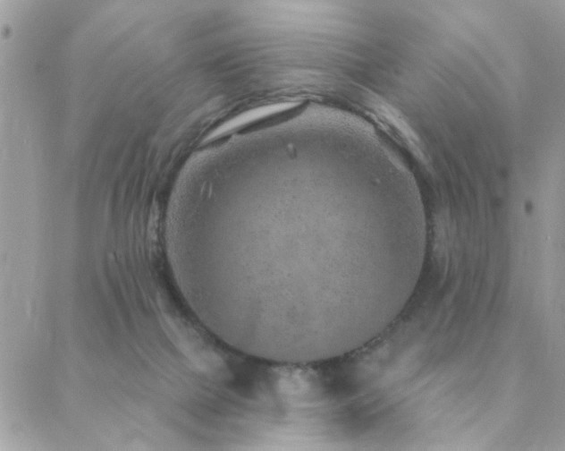 X0000088430073200705221258