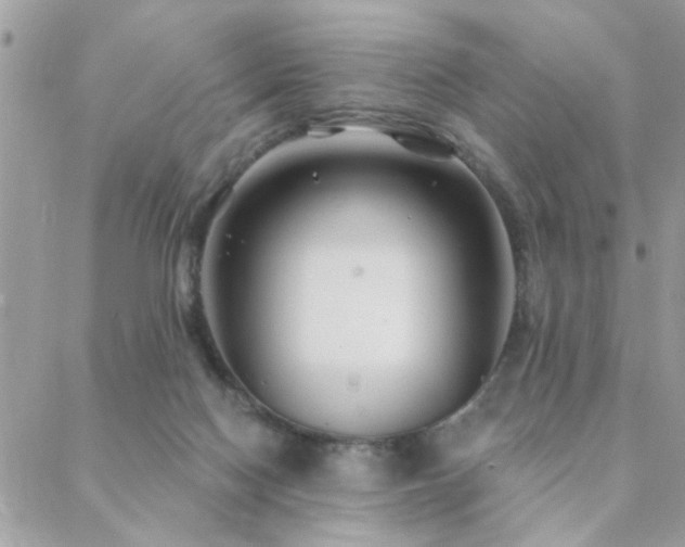 X0000088430074200705221258