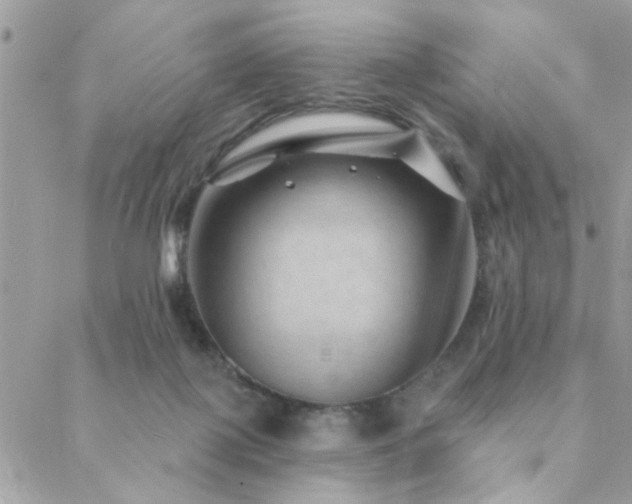 X0000088430075200705221258