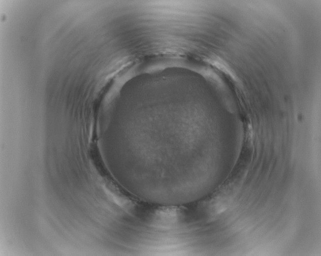 X0000088430076200705221258