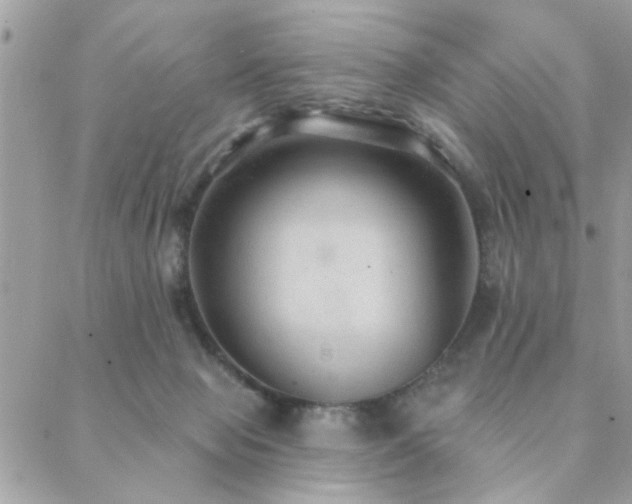 X0000088430077200705221258