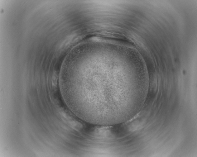 X0000088430078200705221258