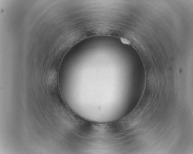 X0000088430079200705221258