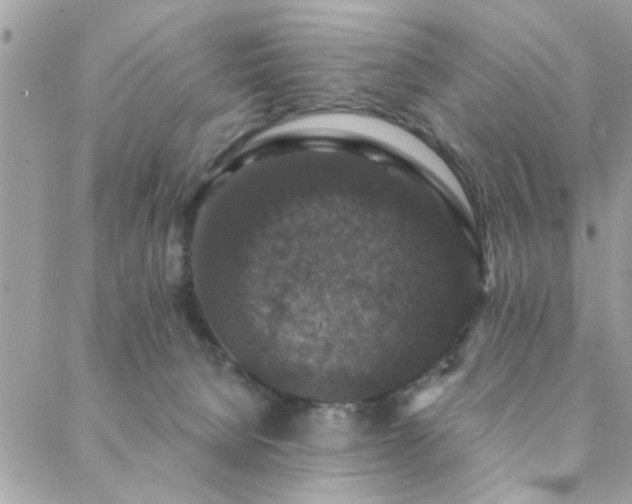 X0000088430080200705221258