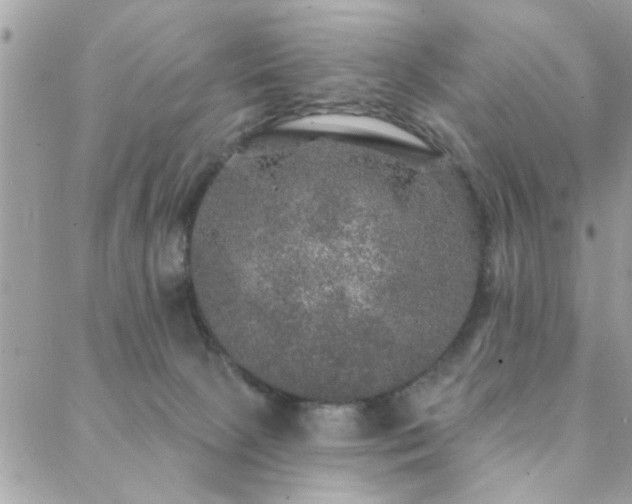 X0000088430081200705221258