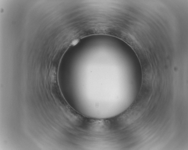 X0000088430083200705221258