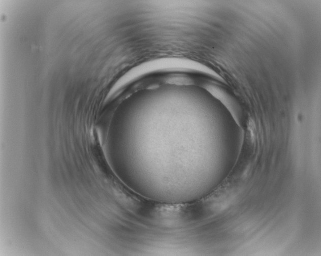 X0000088430084200705221258