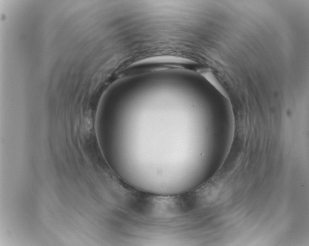 X0000088430085200705221258