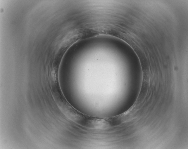 X0000088430086200705221258