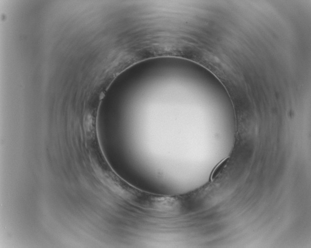 X0000088430087200705221258