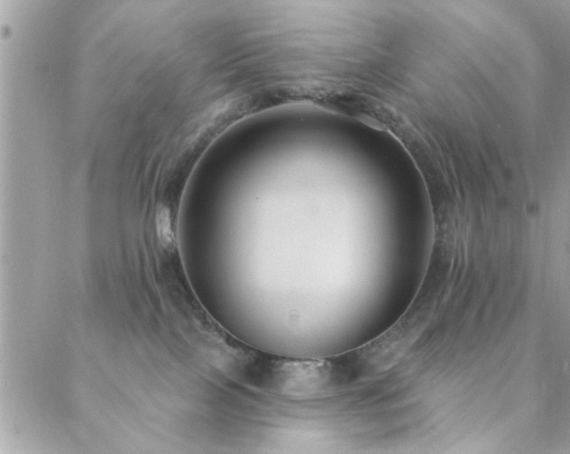 X0000088430089200705221258