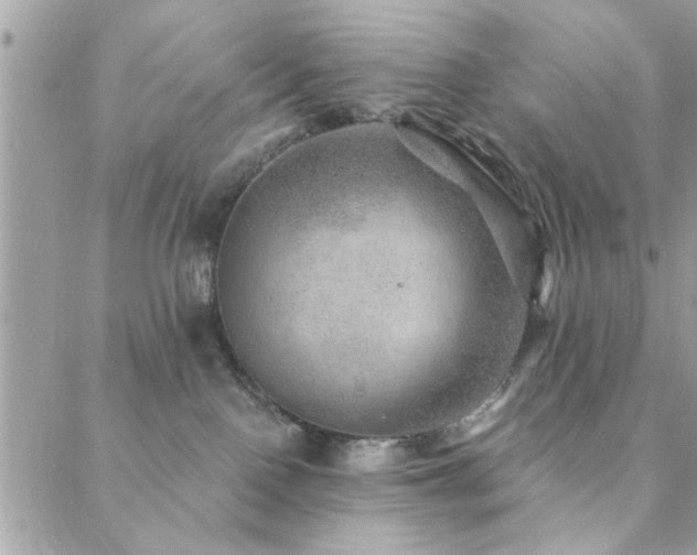 X0000088430090200705221258