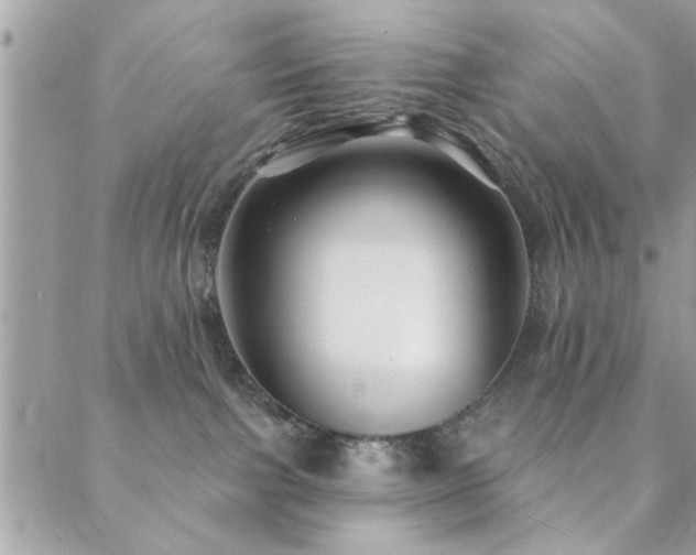 X0000088430091200705221258