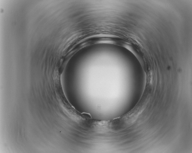 X0000088430092200705221258