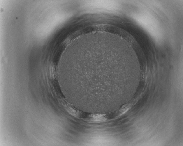 X0000088430093200705221258