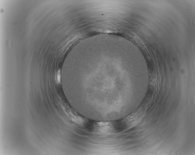 X0000088430095200705221258