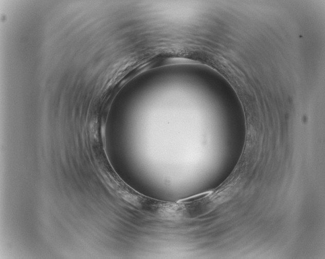 X0000088430096200705221258