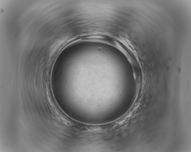 X0000088430097200705221257