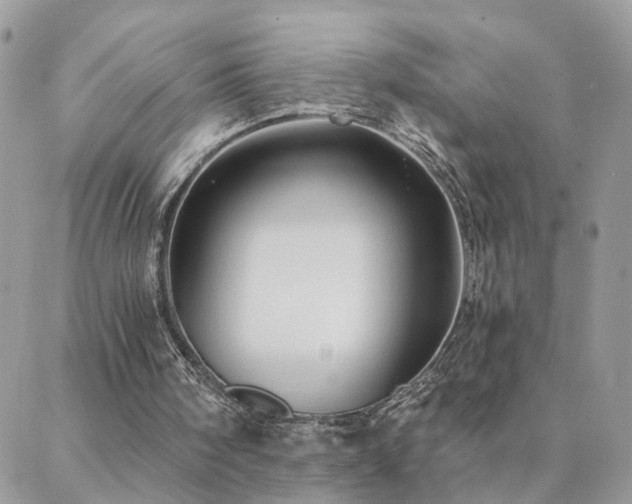 X0000088430098200705221257