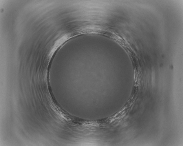 X0000088430099200705221257