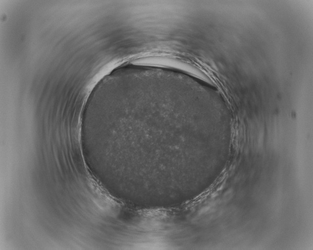 X0000088430100200705221257