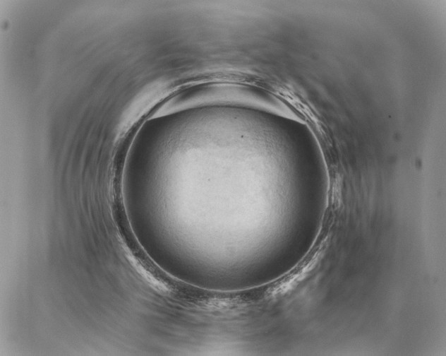 X0000088430101200705221257