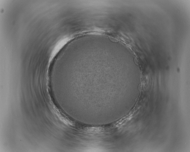 X0000088430102200705221257