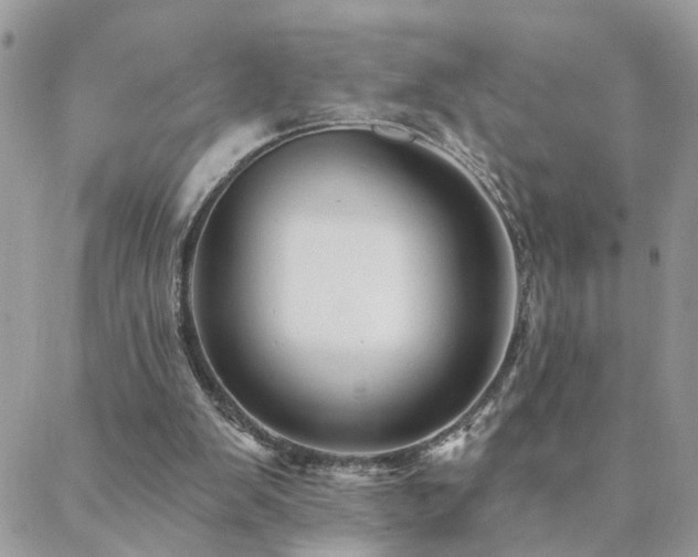 X0000088430103200705221257