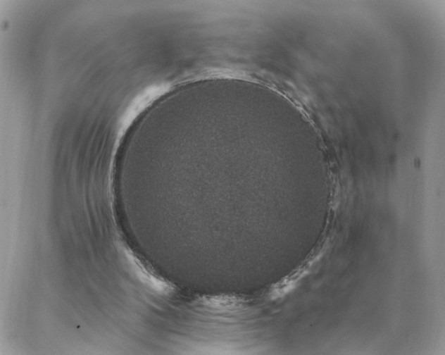 X0000088430104200705221257