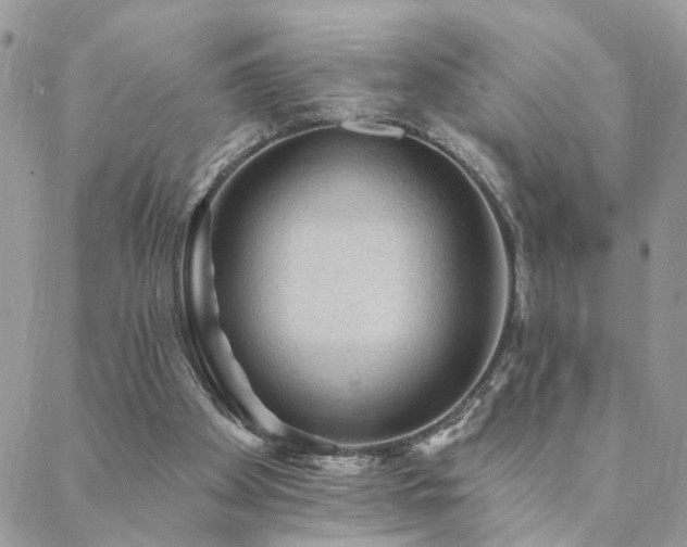 X0000088430105200705221257