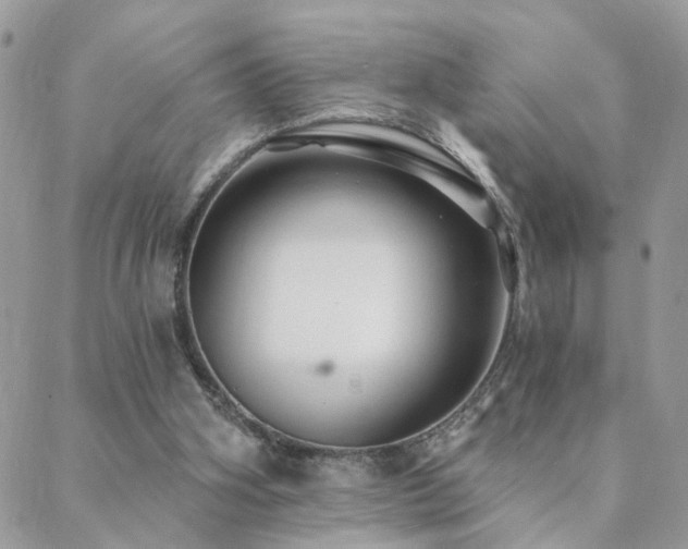 X0000088430106200705221257