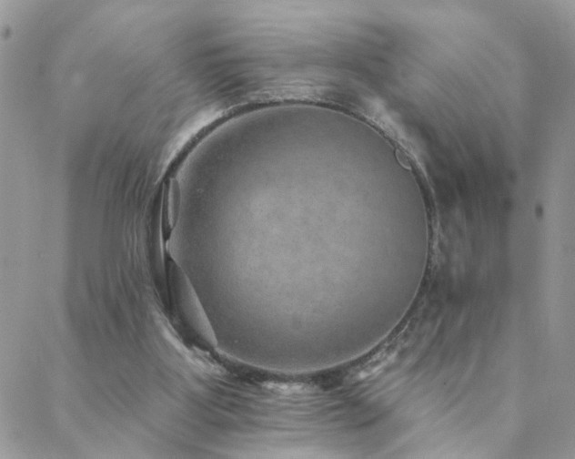 X0000088430107200705221257