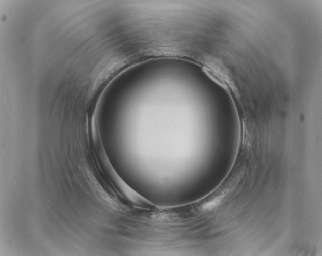 X0000088430109200705221257