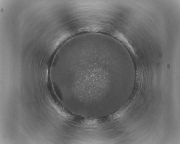 X0000088430110200705221257