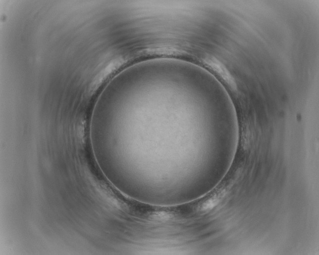 X0000088430111200705221257