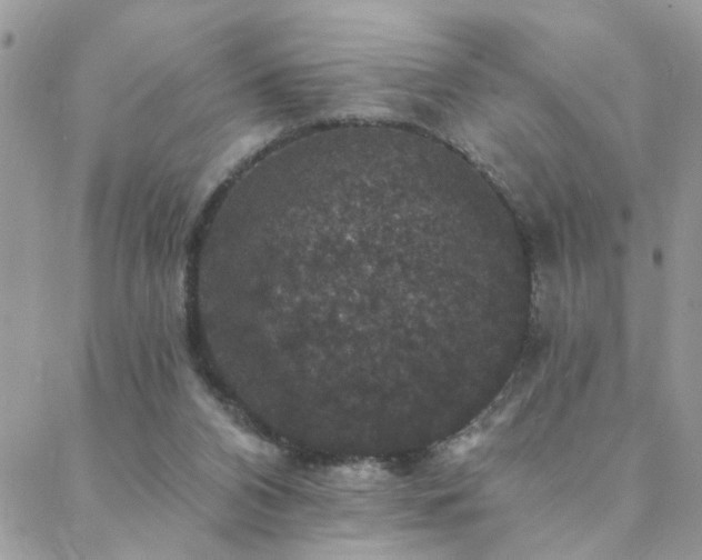 X0000088430112200705221257