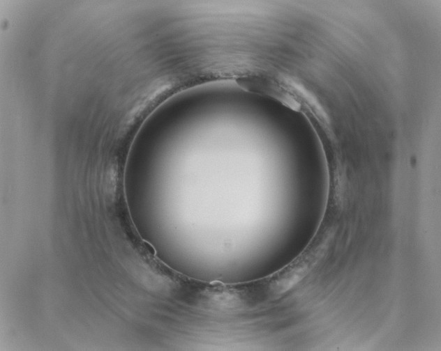 X0000088430113200705221257