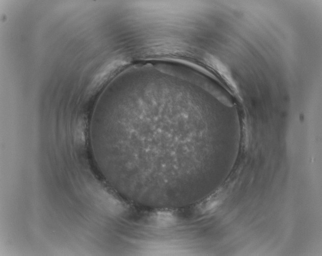 X0000088430114200705221257