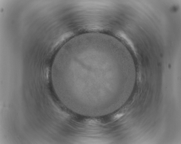 X0000088430115200705221257