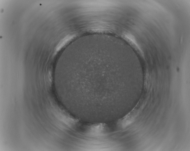 X0000088430116200705221257