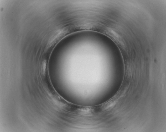 X0000088430118200705221257