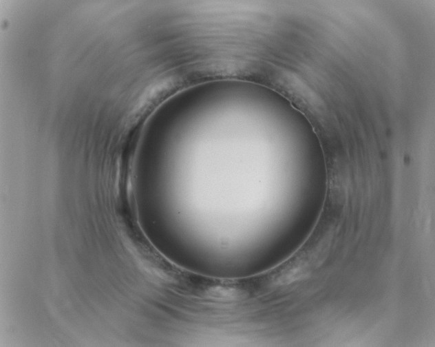 X0000088430119200705221257