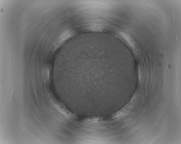 X0000088430120200705221257