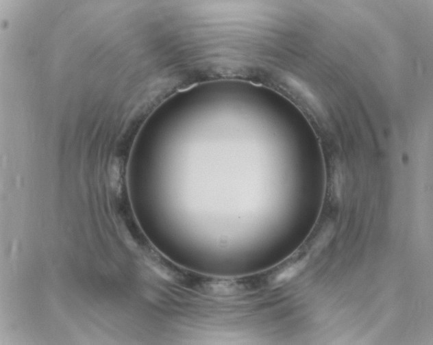 X0000088430121200705221257