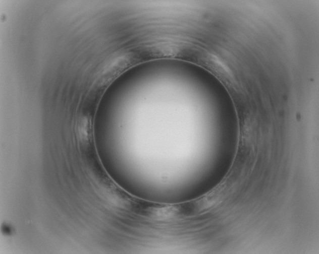 X0000088430122200705221257