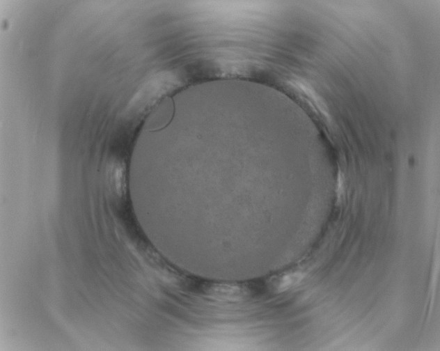 X0000088430123200705221257