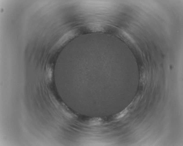 X0000088430124200705221257